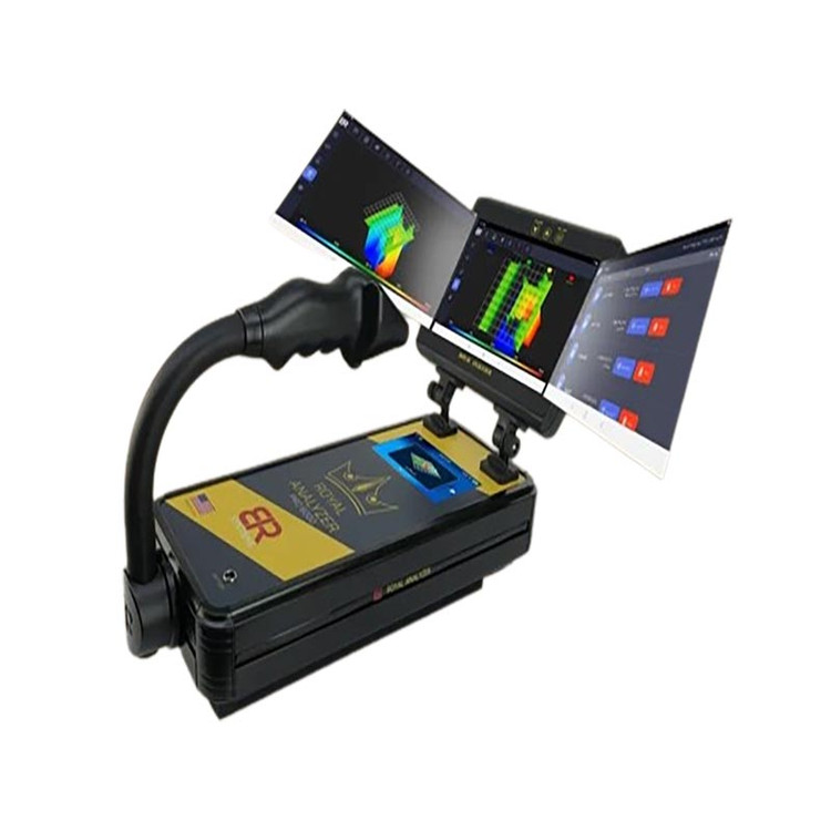 Royal Analyzer 6000